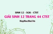 Giải Sinh 12 trang 44 Chân trời sáng tạo SGK